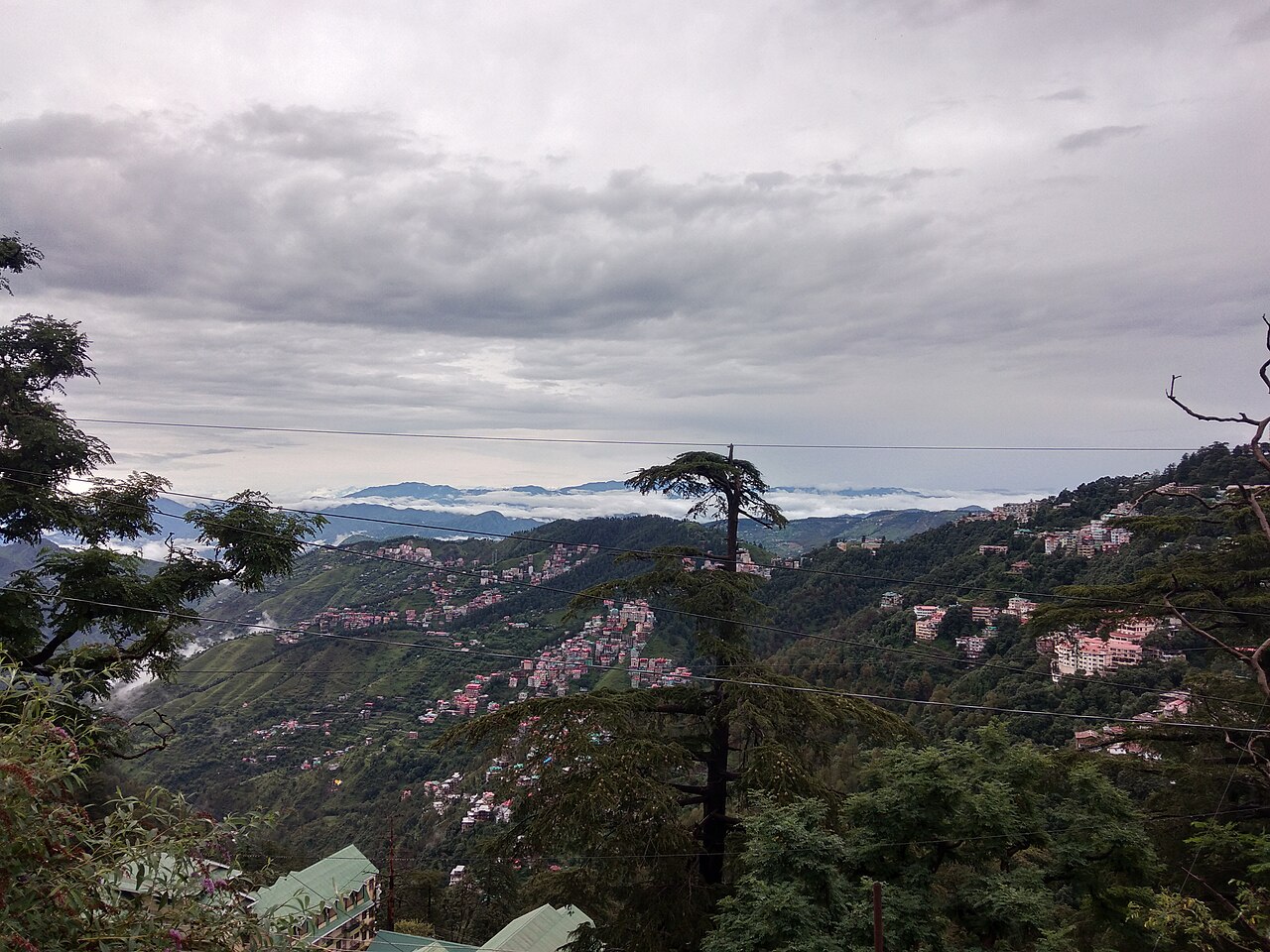 Shimla